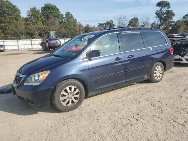 2008 Honda Odyssey EXL