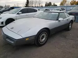 Salvage cars for sale at Bowmanville, ON auction: 1984 Chevrolet Corvette