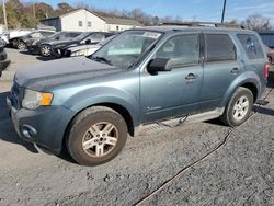 Ford salvage cars for sale: 2010 Ford Escape Hybrid