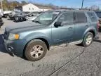 2010 Ford Escape Hybrid