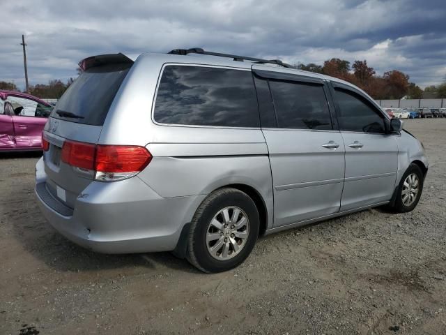 2010 Honda Odyssey EXL