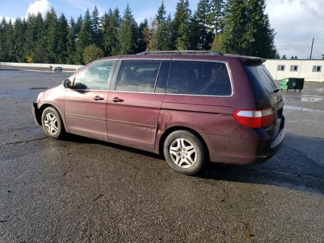 2007 Honda Odyssey EXL