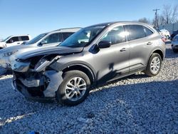 Salvage cars for sale from Copart Wayland, MI: 2021 Ford Escape SE