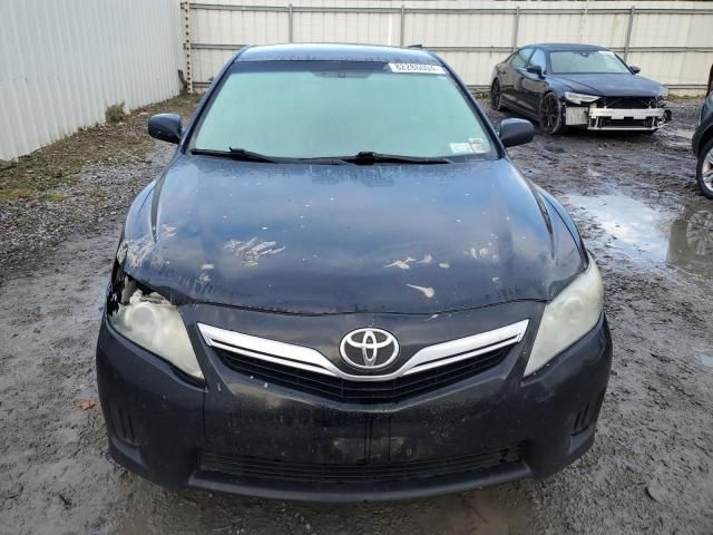 2010 Toyota Camry Hybrid