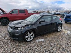 Hyundai salvage cars for sale: 2013 Hyundai Veloster