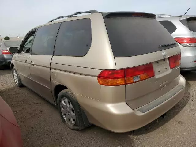 2002 Honda Odyssey EXL