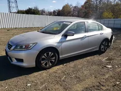 Salvage cars for sale at Windsor, NJ auction: 2013 Honda Accord LX