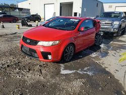 Salvage cars for sale at New Orleans, LA auction: 2013 KIA Forte SX