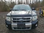 2008 Ford Escape Limited