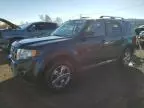 2009 Ford Escape Limited