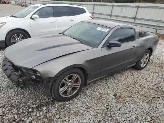 2010 Ford Mustang