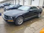 2005 Ford Mustang