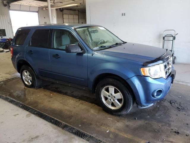 2010 Ford Escape XLS