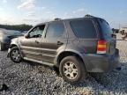 2006 Ford Escape XLT