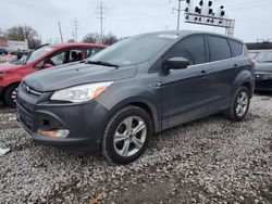 Salvage cars for sale at Columbus, OH auction: 2016 Ford Escape SE