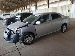 Salvage cars for sale at Phoenix, AZ auction: 2010 Toyota Corolla Base