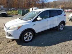 Ford salvage cars for sale: 2014 Ford Escape SE