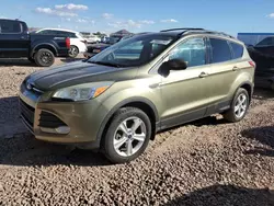 Salvage cars for sale at Phoenix, AZ auction: 2013 Ford Escape SE