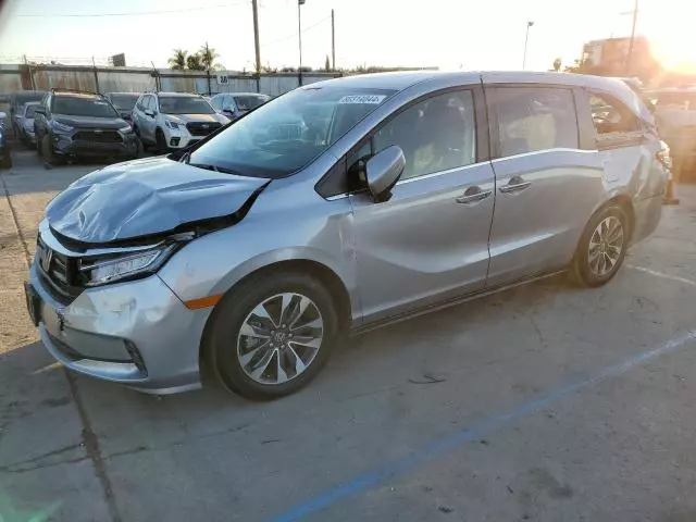 2024 Honda Odyssey EXL