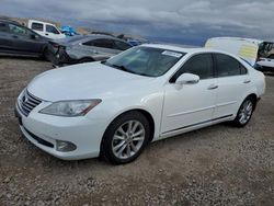 Salvage cars for sale at Magna, UT auction: 2011 Lexus ES 350