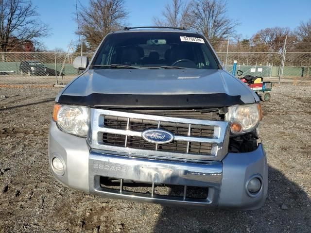 2011 Ford Escape Limited