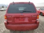 2007 Ford Escape HEV