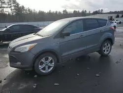 Ford salvage cars for sale: 2014 Ford Escape SE