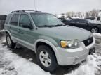 2007 Ford Escape HEV