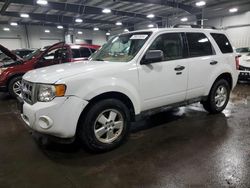 Ford Vehiculos salvage en venta: 2012 Ford Escape XLT