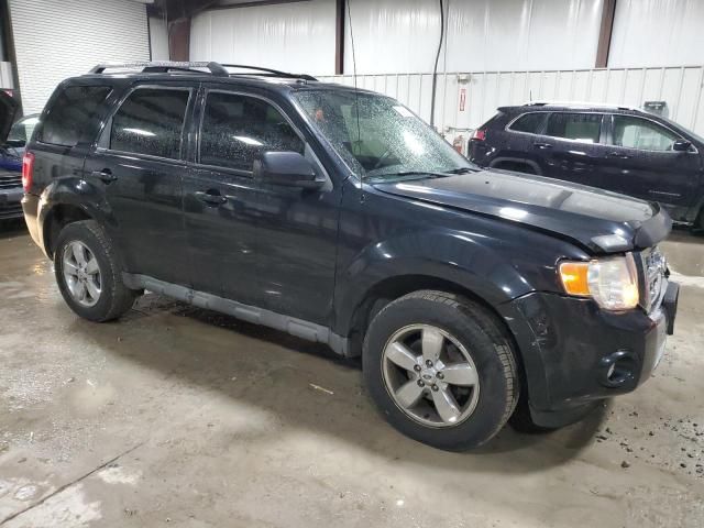 2010 Ford Escape Limited