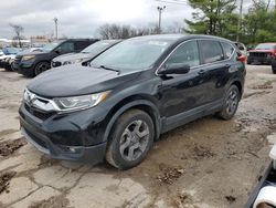 Salvage cars for sale at Lexington, KY auction: 2019 Honda CR-V EX