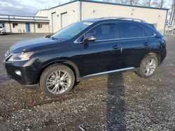 Lexus rx350 salvage cars for sale: 2014 Lexus RX 350 Base