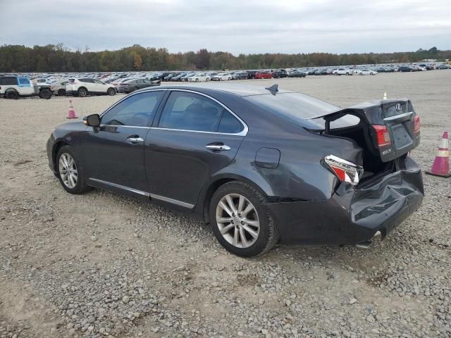 2010 Lexus ES 350