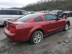 2006 Ford Mustang