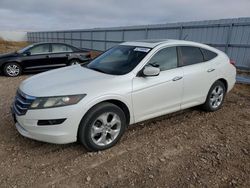 2010 Honda Accord Crosstour EXL en venta en Rapid City, SD