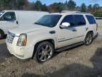 2008 Cadillac Escalade Luxury