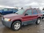 2003 Ford Escape XLT