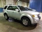 2010 Ford Escape Limited