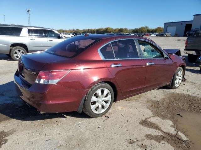 2008 Honda Accord EXL