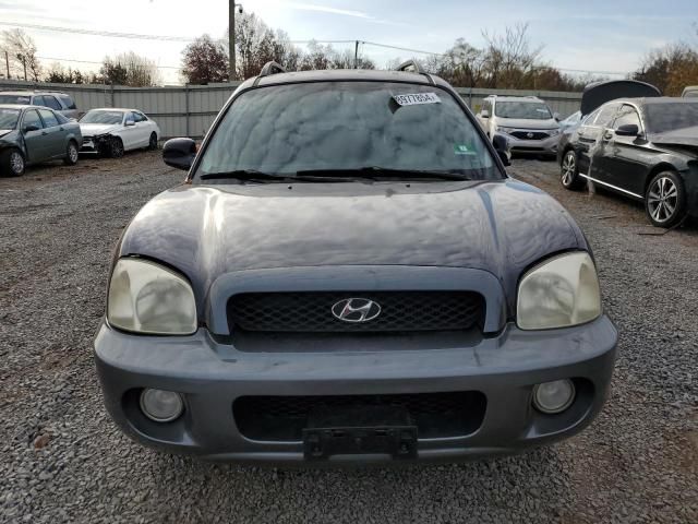 2004 Hyundai Santa FE GLS