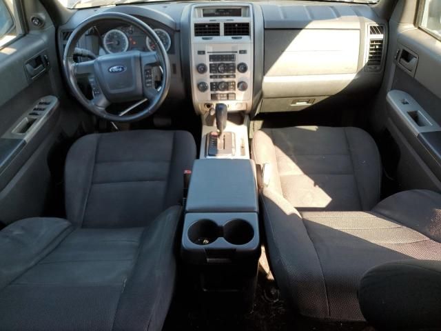 2009 Ford Escape XLT