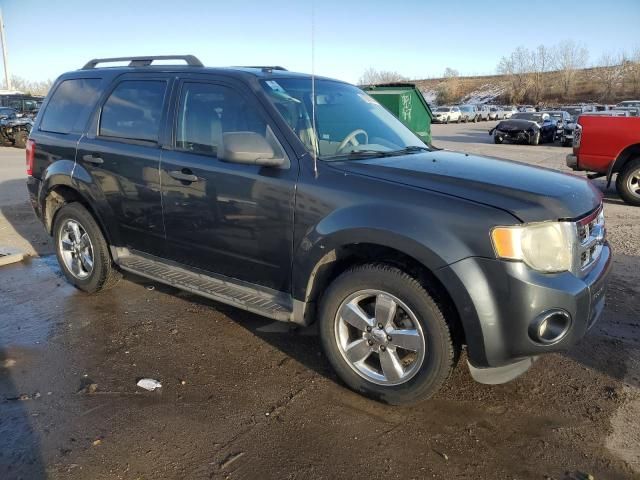 2009 Ford Escape XLT