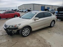 Salvage cars for sale at Haslet, TX auction: 2013 Honda Accord EXL