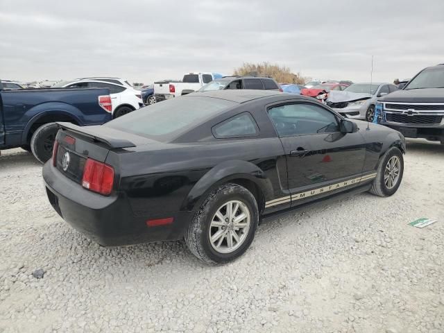 2005 Ford Mustang