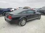 2005 Ford Mustang