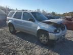 2006 Ford Escape Limited