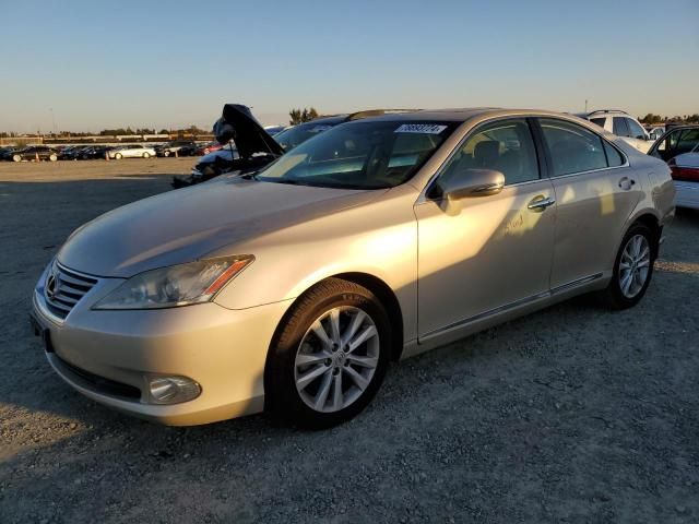 2011 Lexus ES 350