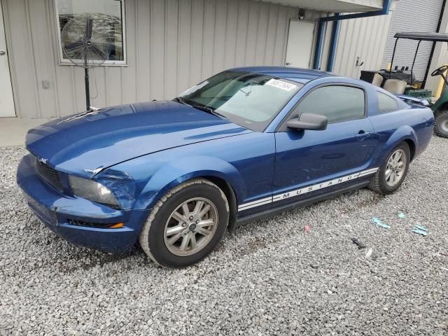 2006 Ford Mustang