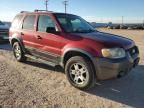 2005 Ford Escape XLT