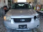 2005 Ford Escape Limited